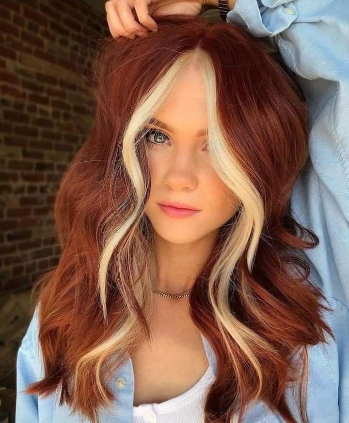 12 couleurs cuivrées avec effet et mèche blonde 5 12 couleurs cuivrées avec effet et mèche blonde 5