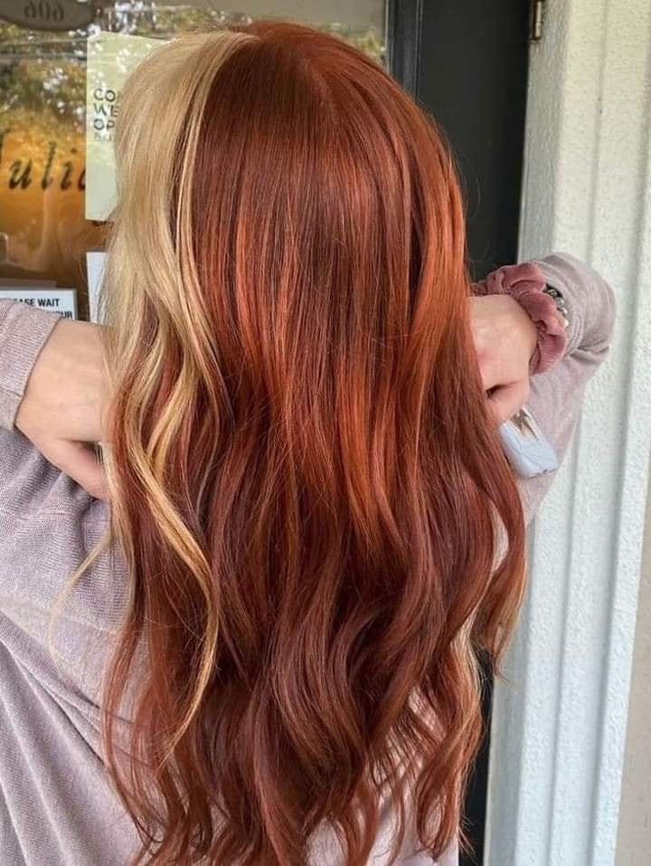 12 couleurs cuivrées avec effet et mèche blonde 12 12 couleurs cuivrées avec effet et mèche blonde 12
