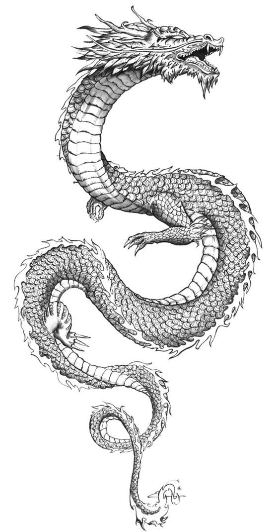 Tatouage Dragon Japonais : 19 Motifs & Dessins Pour S'inspirer 16
