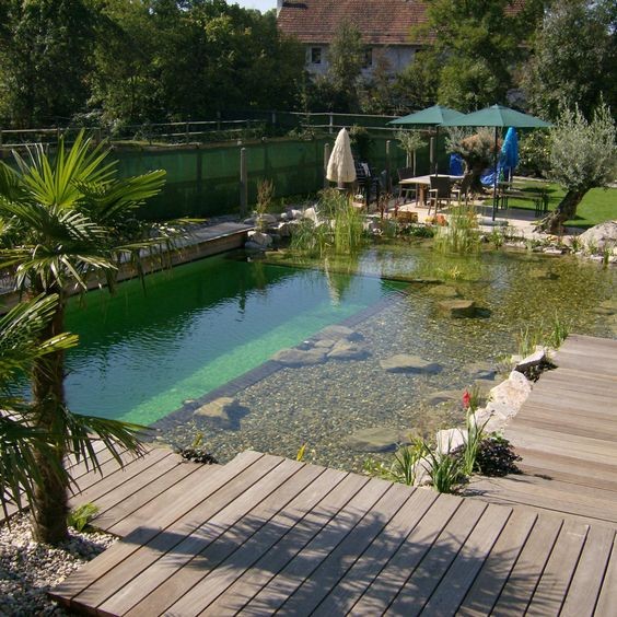 10 modèles de piscines naturelles pour concevoir une plage à la maison 11