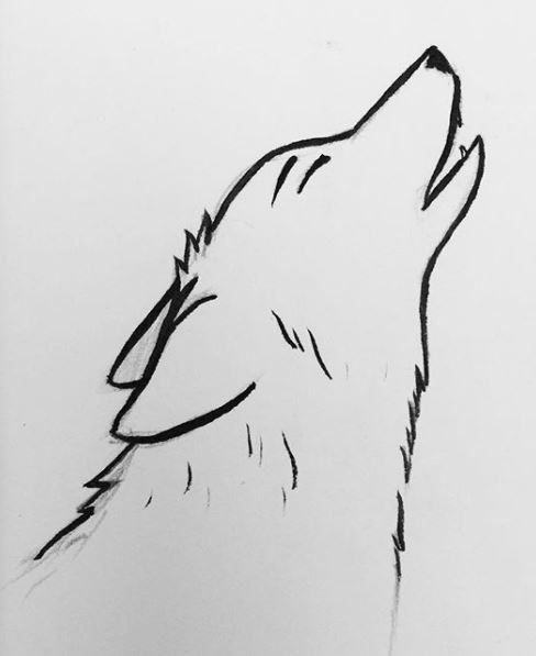 16 Tutos & idées de dessins de loup faciles à faire 11
