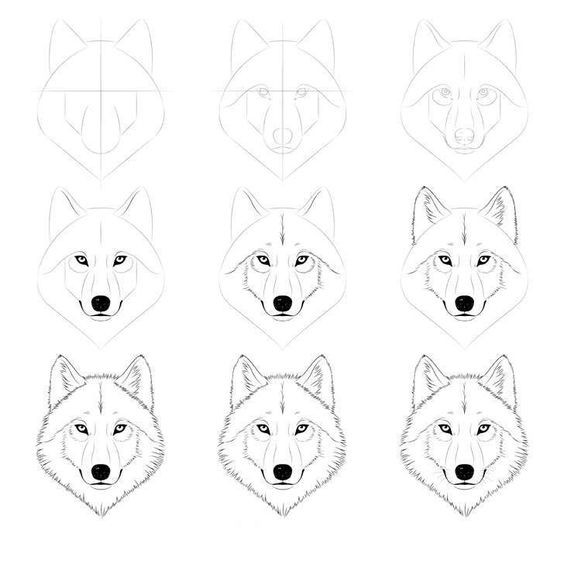 16 Tutos & idées de dessins de loup faciles à faire 13