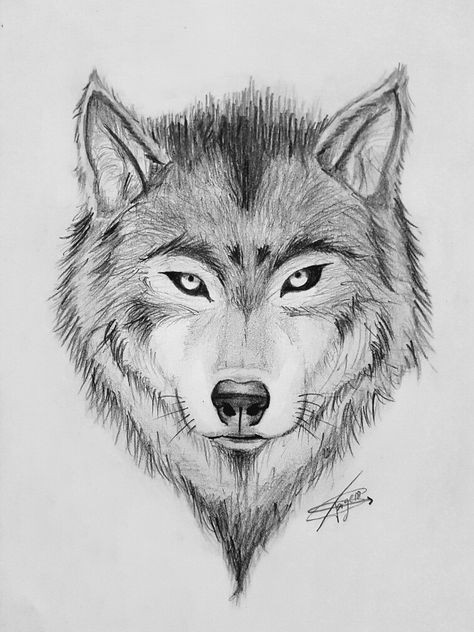 16 Tutos & idées de dessins de loup faciles à faire 15