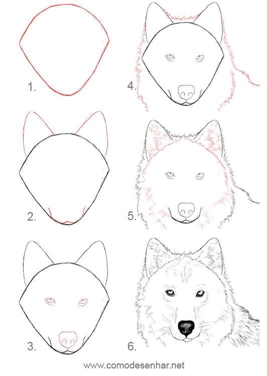 16 Tutos & idées de dessins de loup faciles à faire 16