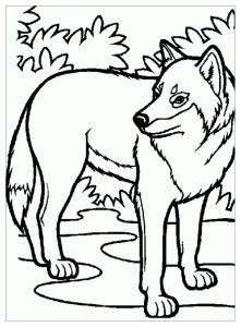 16 Tutos & idées de dessins de loup faciles à faire 10