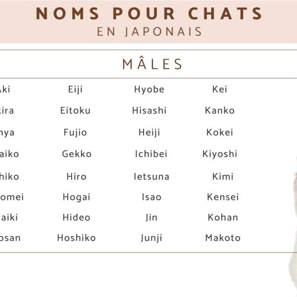 Les 100 plus beaux prénoms japonais garçon 6