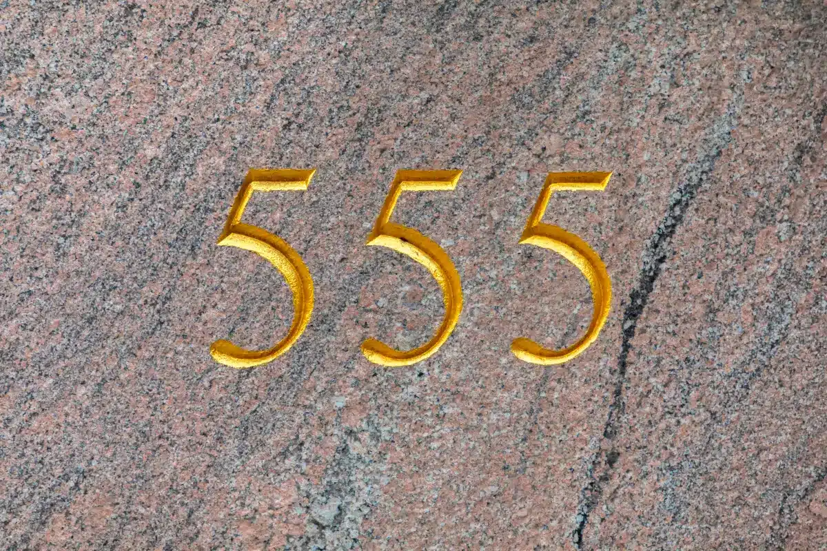 555 signification flamme jumelle 1