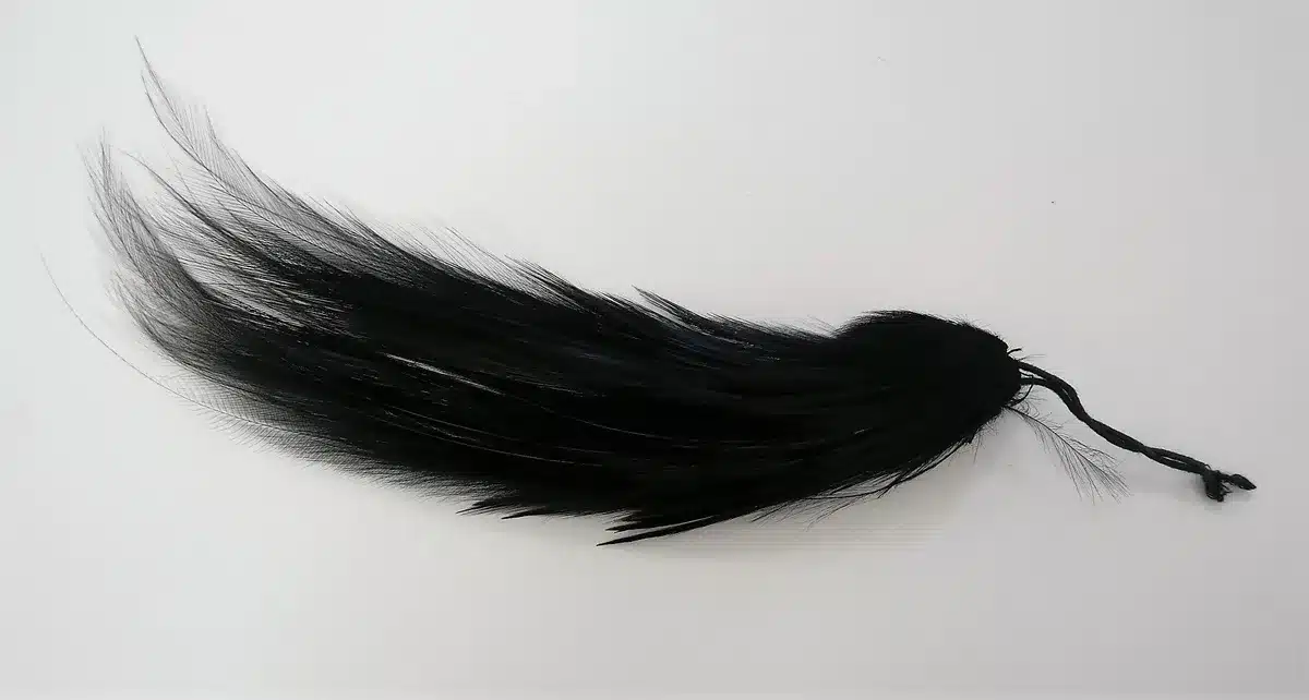 Black Feather: The True Spiritual Meaning 2