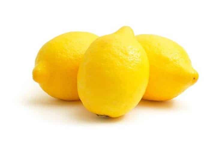 LA technique pour cultiver les citrons facilement 6