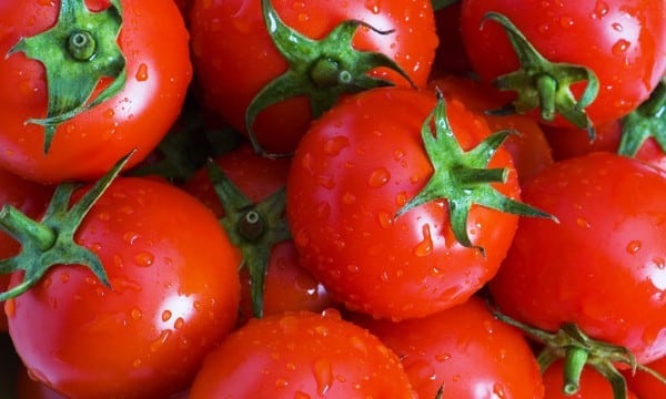 5 façons de conserver vos tomates pour en profiter toute l'année 2