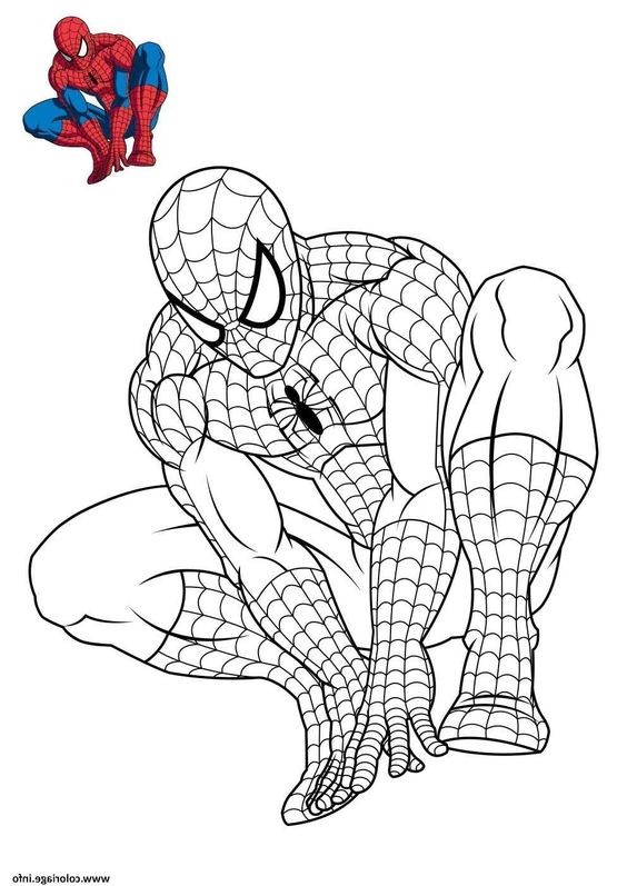 Top 50 Dessins Spiderman Gratuits & Faciles à Colorier en 2023 7