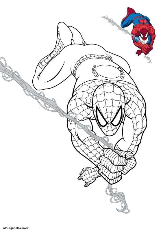 Top 50 Dessins Spiderman Gratuits & Faciles à Colorier en 2023 27