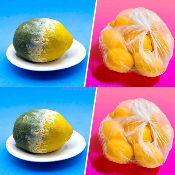 La technique ultime pour garder les citrons frais jusqu'à 3 mois 1