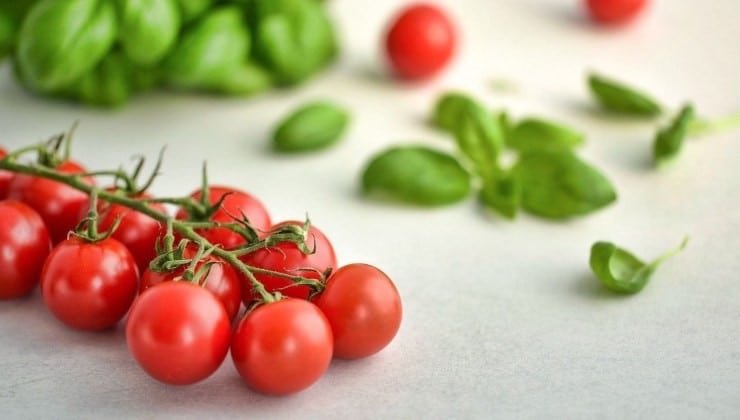 Tomates et basilic, ce qui arrive au corps si vous les mangez ensemble : inattendu 1