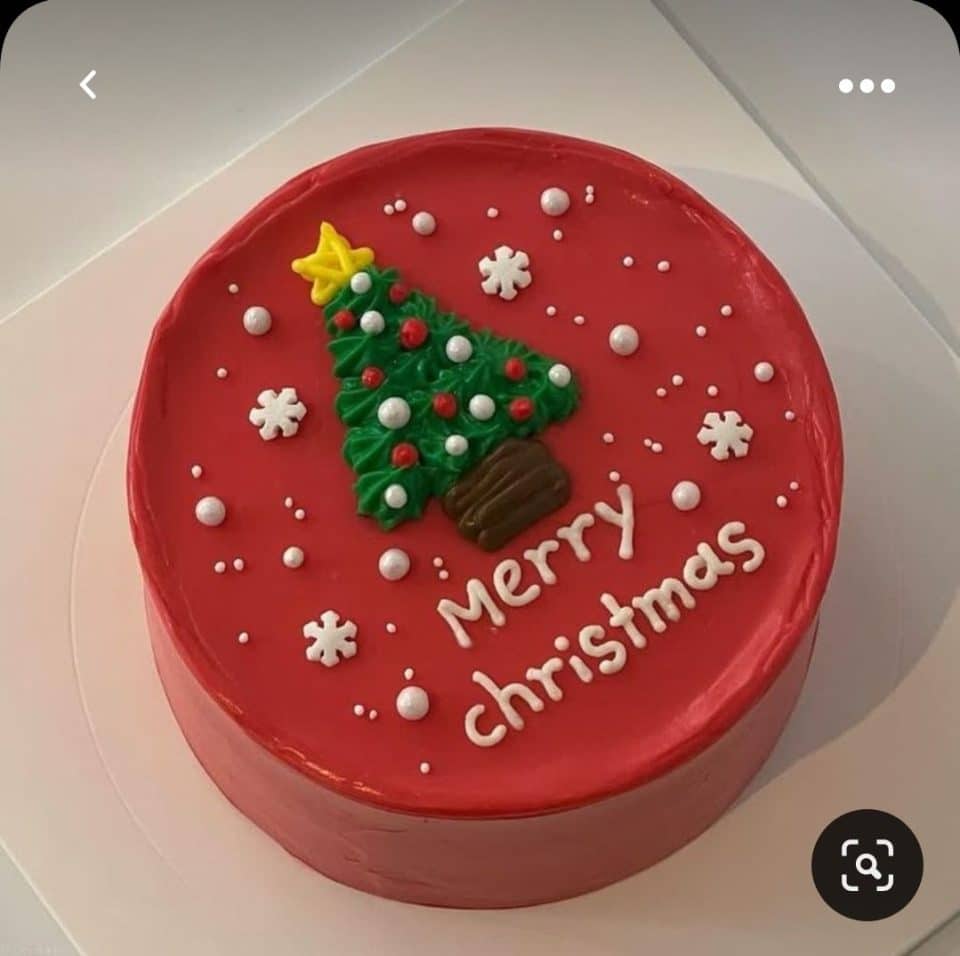 40 Très beaux gâteaux de Noël pour vous inspirer