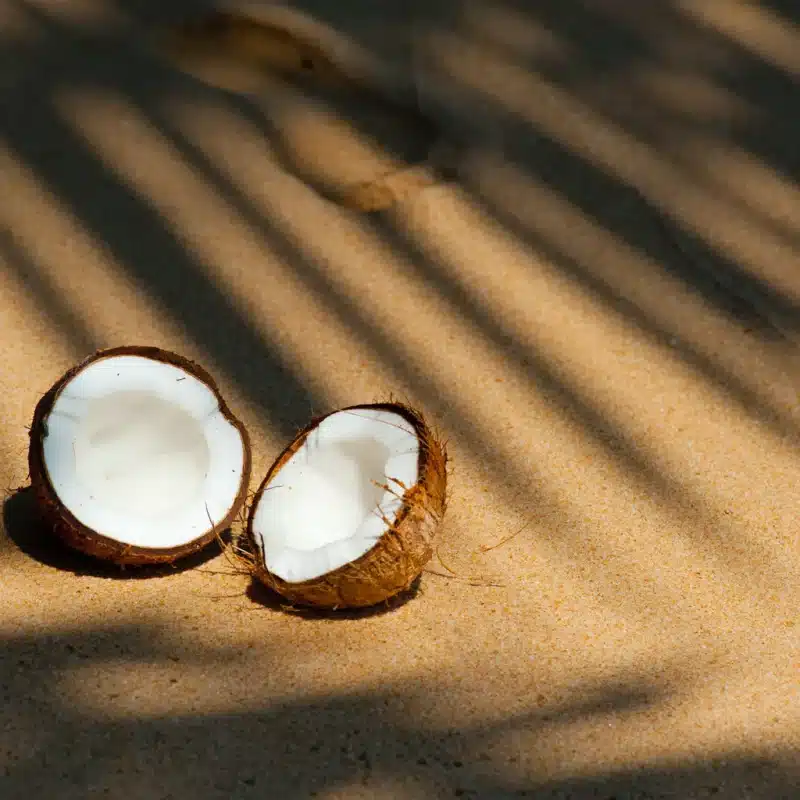 Huile de Coco: L’Élixir Tropical pour des Boucles Hydratées et Éclatantes en Un Clin d’Œil 2