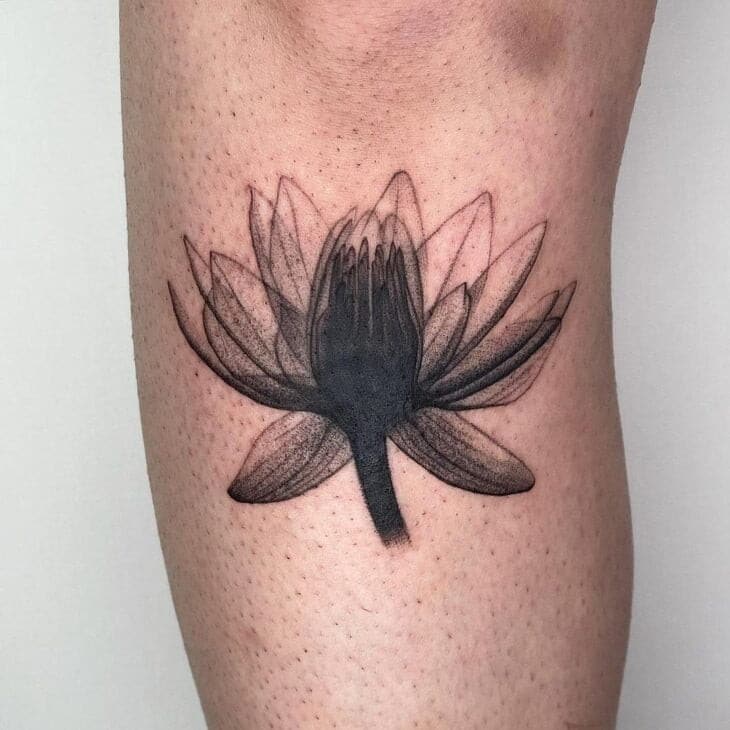 70 Tatouages fleur de lotus pleins de beauté et de symbolisme 12