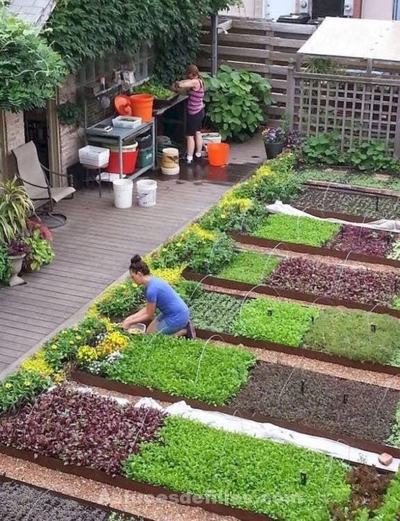 21 idées pour mettre un potager dans votre jardin 3