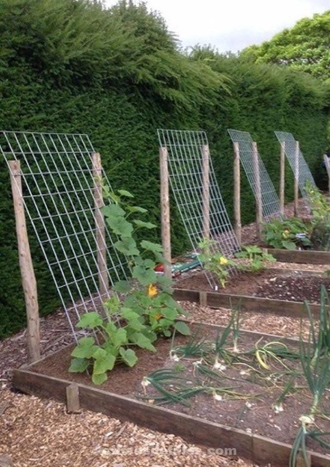 21 idées pour mettre un potager dans votre jardin 8