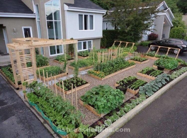 21 idées pour mettre un potager dans votre jardin 11