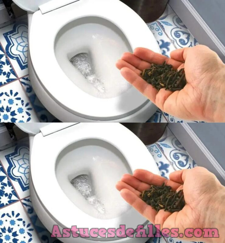 La astuce ultime pour éliminer l'odeur d'urine de la salle de bain et laisser un arôme agréable 1