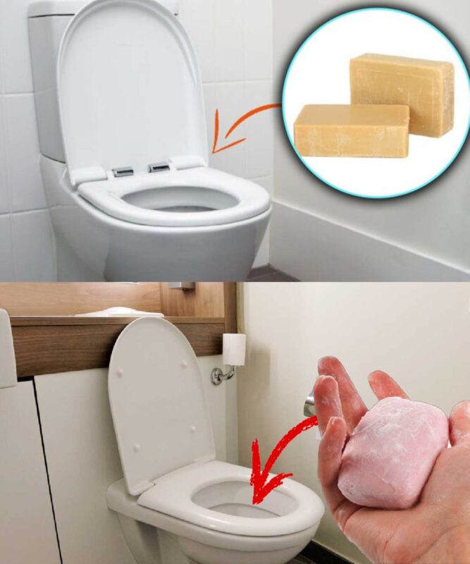 L'Astuce Ultime pour Nettoyer les Toilettes avec du Savon Solide 1