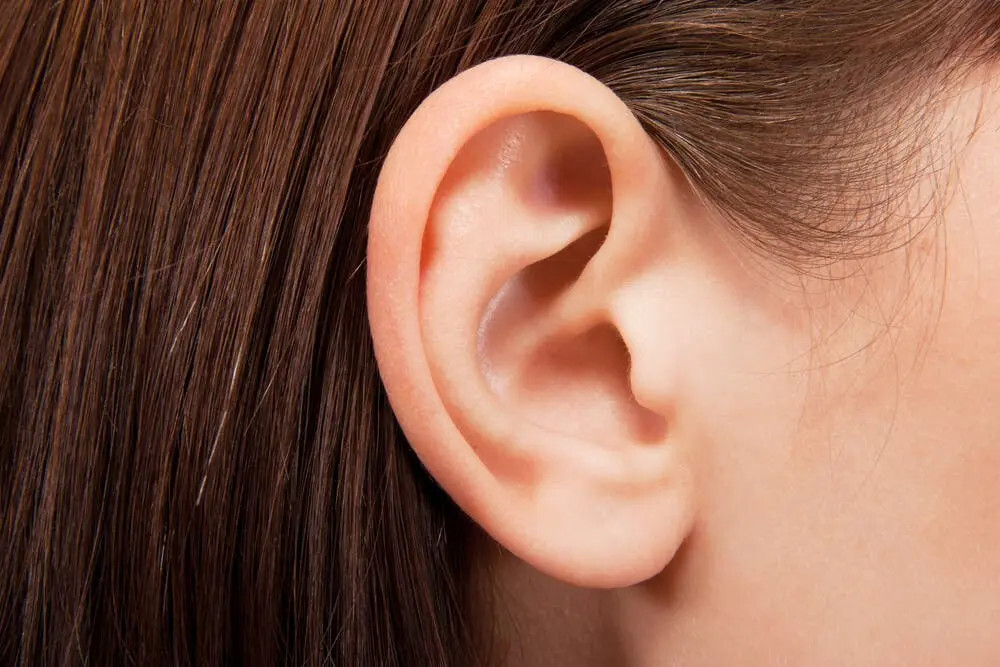 Le lobe de l'oreille attaché ou détaché : Qu'est-ce que cela signifie et d'où vient cette différence génétique ? 2