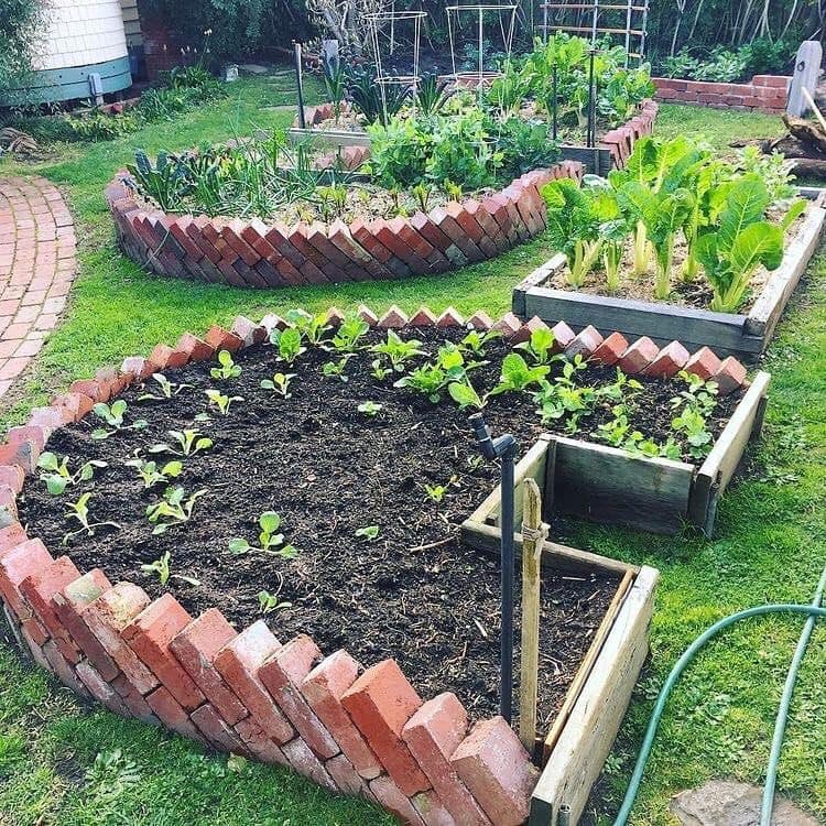 100 Top Idées Pour Faire Un Jardin Potager