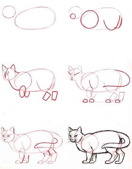 29 tutos dessin étape par étape : pour apprendre à dessiner facilement 12 29 tutos dessin étape par étape : pour apprendre à dessiner facilement 12