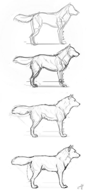29 tutos dessin étape par étape : pour apprendre à dessiner facilement 28 29 tutos dessin étape par étape : pour apprendre à dessiner facilement 28