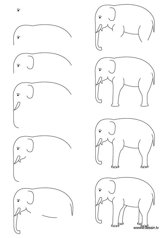 29 tutos dessin étape par étape : pour apprendre à dessiner facilement 3 29 tutos dessin étape par étape : pour apprendre à dessiner facilement 3
