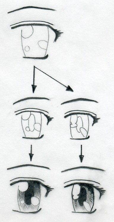 29 tutos dessin étape par étape : pour apprendre à dessiner facilement 29 29 tutos dessin étape par étape : pour apprendre à dessiner facilement 29