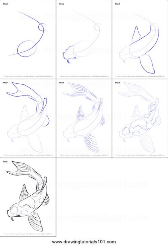29 tutos dessin étape par étape : pour apprendre à dessiner facilement 9 29 tutos dessin étape par étape : pour apprendre à dessiner facilement 9