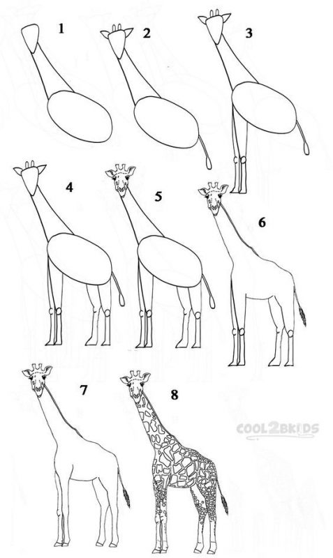 29 tutos dessin étape par étape : pour apprendre à dessiner facilement 11 29 tutos dessin étape par étape : pour apprendre à dessiner facilement 11