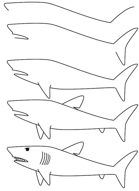 29 tutos dessin étape par étape : pour apprendre à dessiner facilement 4 29 tutos dessin étape par étape : pour apprendre à dessiner facilement 4