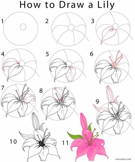 100 top idées pour dessiner facilement étape par étape 45 100 top idées pour dessiner facilement étape par étape 45
