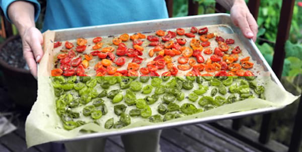 14 aliments adaptés au congélateur que vous ne connaissiez pas 7 14 aliments adaptés au congélateur que vous ne connaissiez pas 7