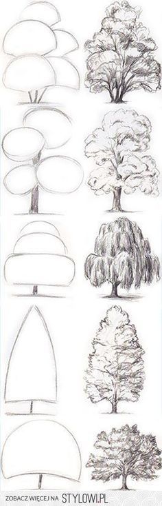 26 idées de dessins d'arbres (& tutos étapes par étapes) 25 26 idées de dessins d'arbres (& tutos étapes par étapes) 25