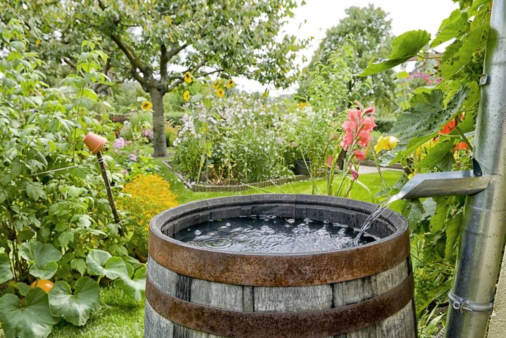 Cuve de stockage d'eau : enterrée ou non ? 2 Cuve de stockage d'eau : enterrée ou non ? 2