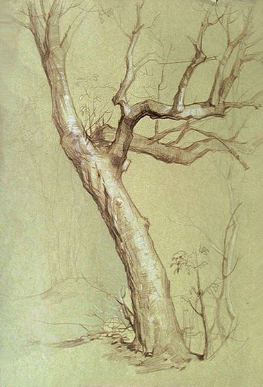 26 idées de dessins d'arbres (& tutos étapes par étapes) 10 26 idées de dessins d'arbres (& tutos étapes par étapes) 10