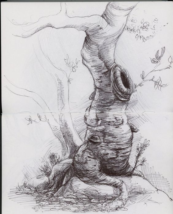 26 idées de dessins d'arbres (& tutos étapes par étapes) 11 26 idées de dessins d'arbres (& tutos étapes par étapes) 11