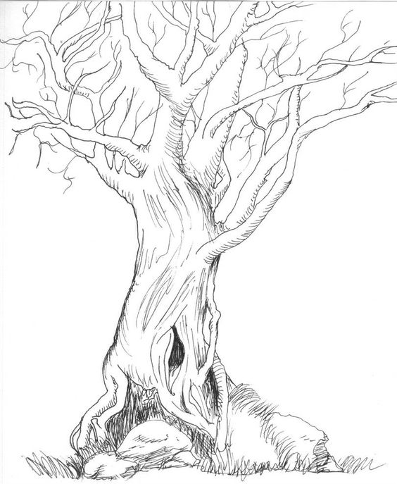 26 idées de dessins d'arbres (& tutos étapes par étapes) 7 26 idées de dessins d'arbres (& tutos étapes par étapes) 7