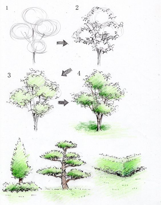 26 idées de dessins d'arbres (& tutos étapes par étapes) 5 26 idées de dessins d'arbres (& tutos étapes par étapes) 5