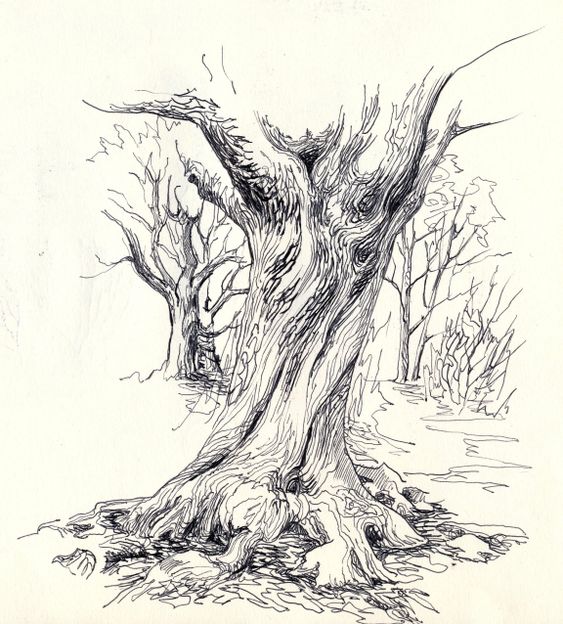 26 idées de dessins d'arbres (& tutos étapes par étapes) 12 26 idées de dessins d'arbres (& tutos étapes par étapes) 12