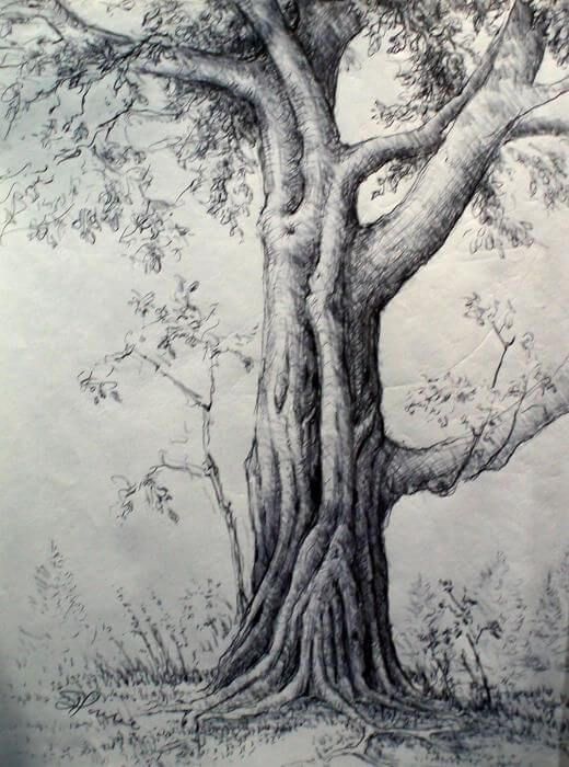 26 idées de dessins d'arbres (& tutos étapes par étapes) 15 26 idées de dessins d'arbres (& tutos étapes par étapes) 15