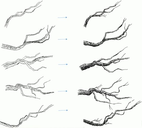 26 idées de dessins d'arbres (& tutos étapes par étapes) 20 26 idées de dessins d'arbres (& tutos étapes par étapes) 20