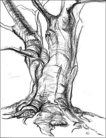 26 idées de dessins d'arbres (& tutos étapes par étapes) 6 26 idées de dessins d'arbres (& tutos étapes par étapes) 6