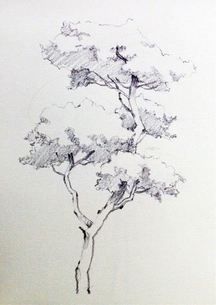 25 top idées de dessin & de peinture d'arbre 22 25 top idées de dessin & de peinture d'arbre 22