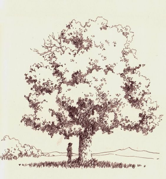 25 top idées de dessin & de peinture d'arbre 23 25 top idées de dessin & de peinture d'arbre 23