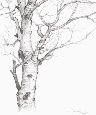 25 top idées de dessin & de peinture d'arbre 25 25 top idées de dessin & de peinture d'arbre 25